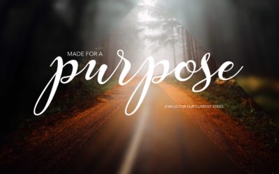 Purpose Confirmed