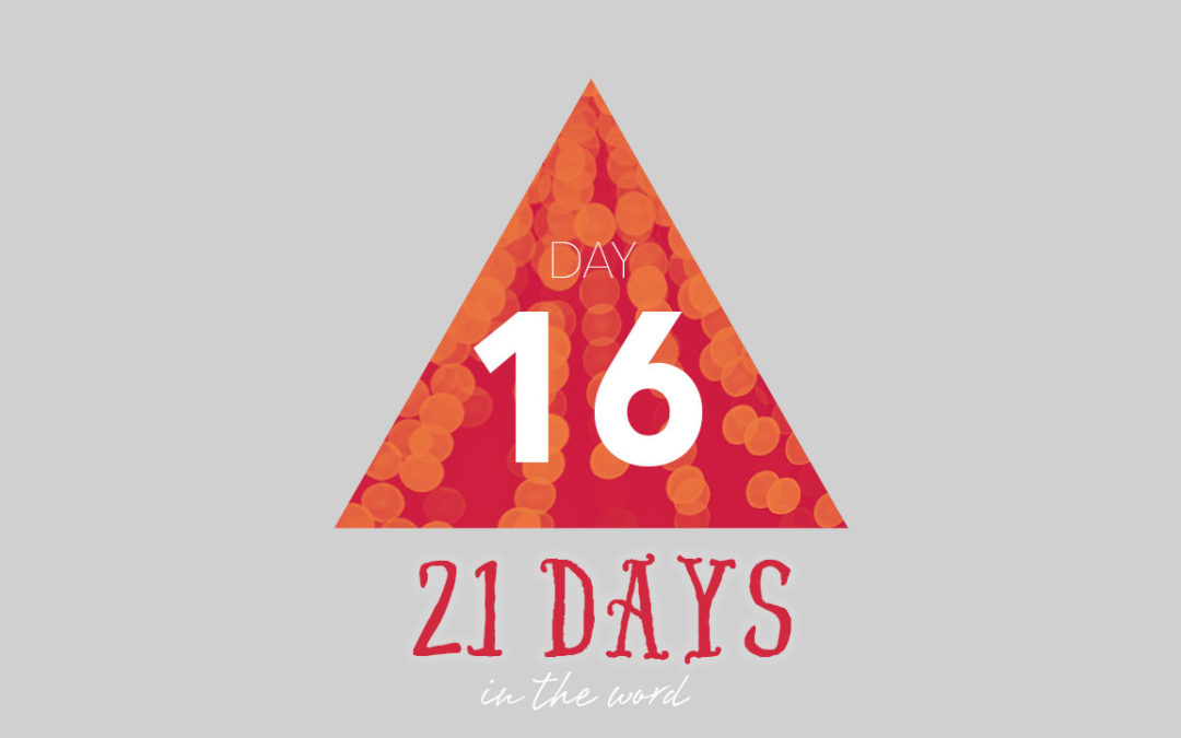Day 16: My Vision