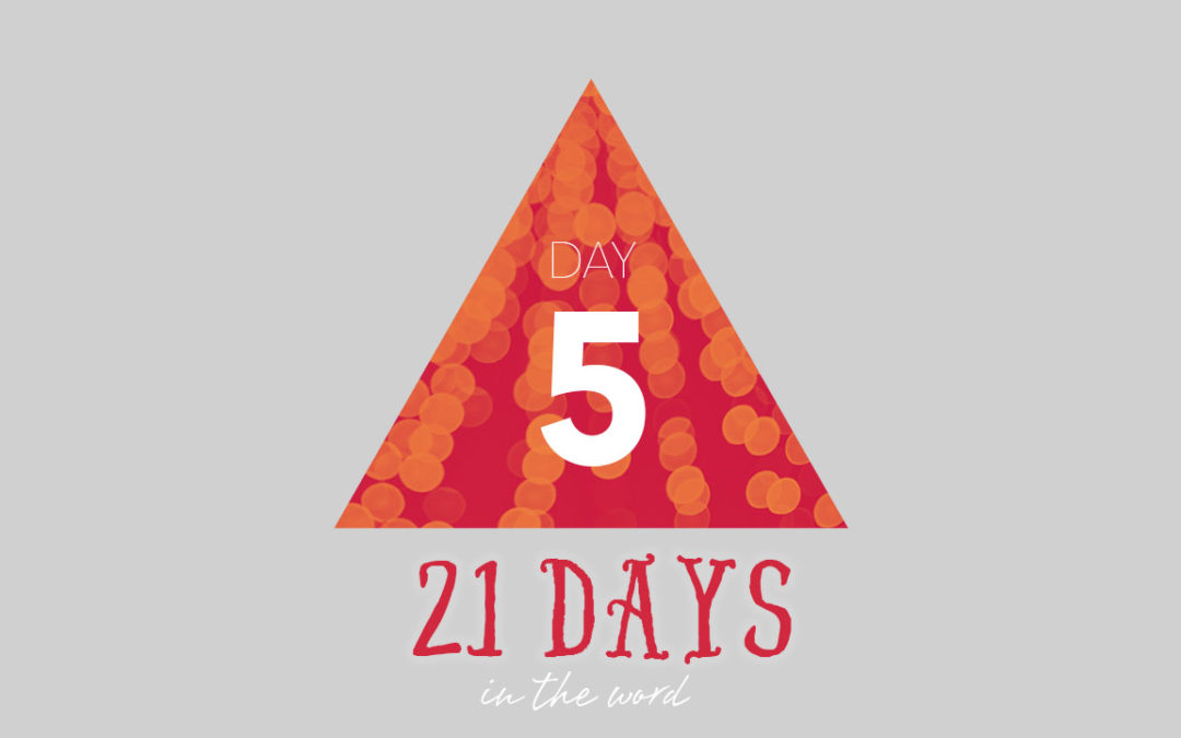 Day 5: Local Missions